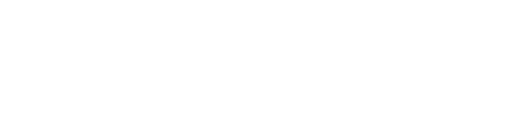 GM Motors Holding